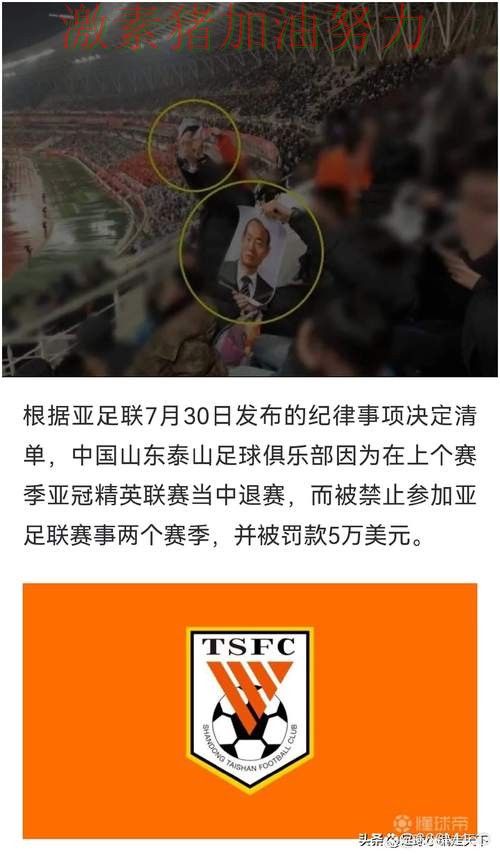 亚冠关键判罚引争议成为赛后最大话题 亚冠关键判罚引争议成为赛后最大话题